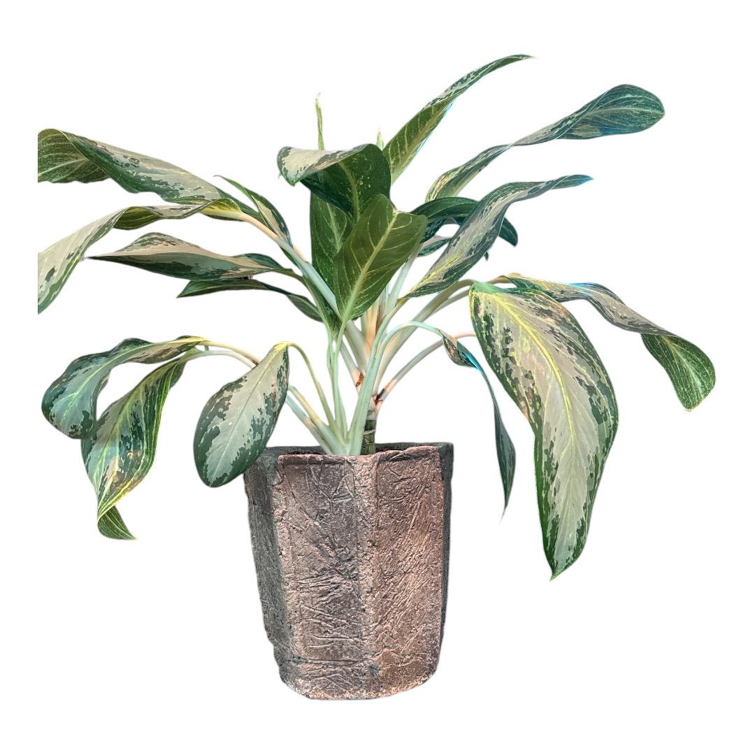 Large Octagon Hypertufa Planter - Handmade Stone Flowerpot . N22002.