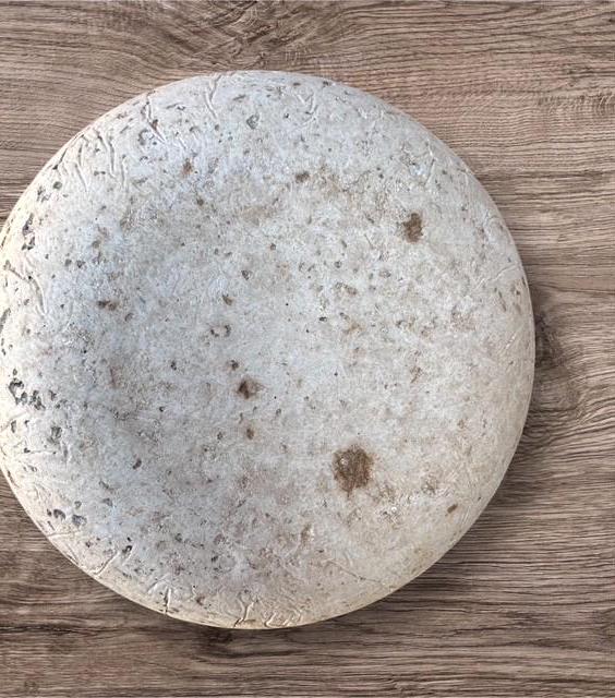 Small Round Succulent Pot - Breathable Hypertufa Stone Planter-N22021